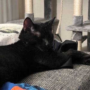 Meet your Posher, Rithika